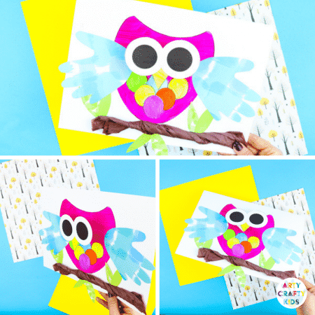 Bobble Head Owl Craft Finished Project 