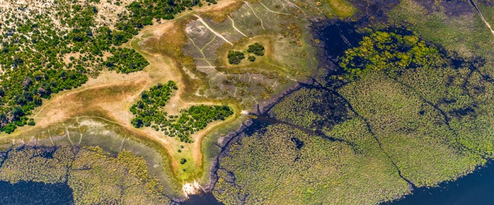 British Ecological Society image of a view of a grassland delta