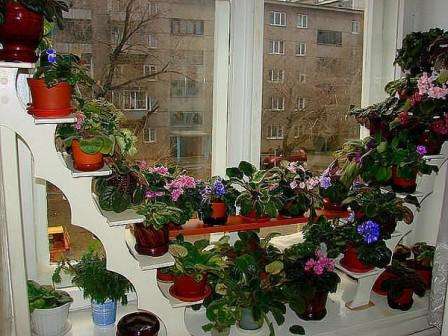 оконные стеллажи для комнатных растений