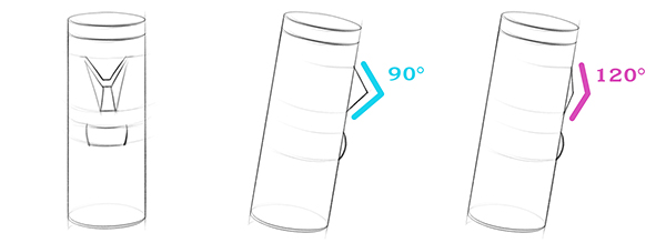 thyroid cartilage gender comparison drawings