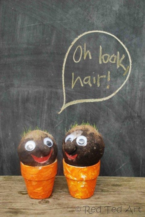 How to make grass heads - easy grass seed heads for Spring and Summer. STEAM for Preschool, KS1 and KS2. Fun Grass Heads DIY