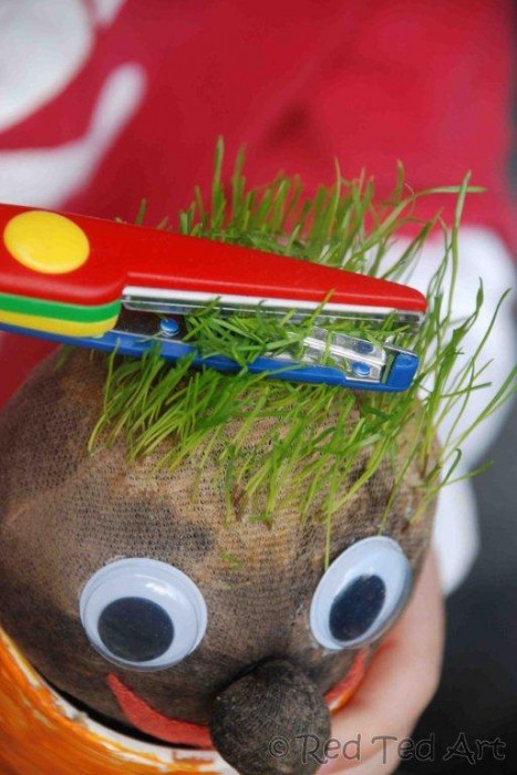 Grass Heads for Kids - these Grass Heads are so so easy to make and super fun to watch grow and care for. A great art come science activity for kids. Teaching them about looking after plants too! How to Make Grass Heads!