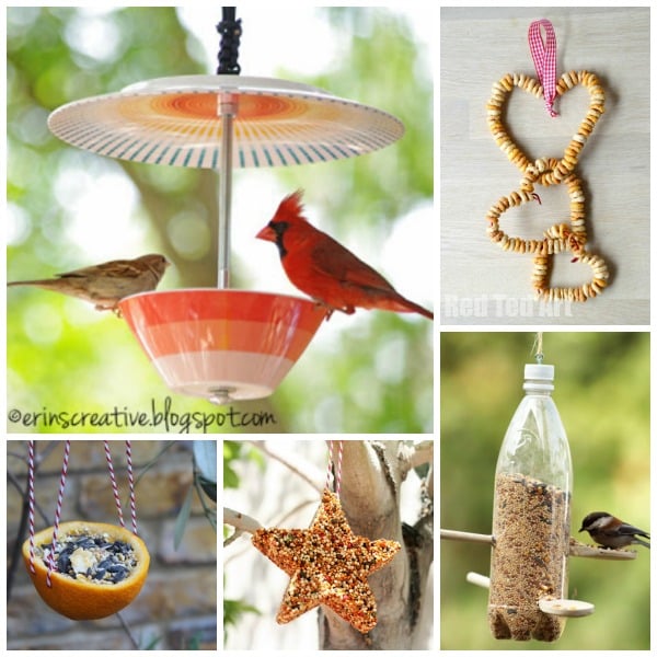 15 Wonderful Bird Feeder Crafts and Ideas - a great way to look after our feather friends this Winter