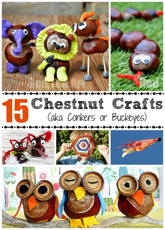 This is one of my most precious childhood memories - crafting with conkers (also known as horse chestnuts or buckeye crafts) - I love the smooth texture and the fun chestnut crafts you can make. Here re 15 lovely ideas for Fall